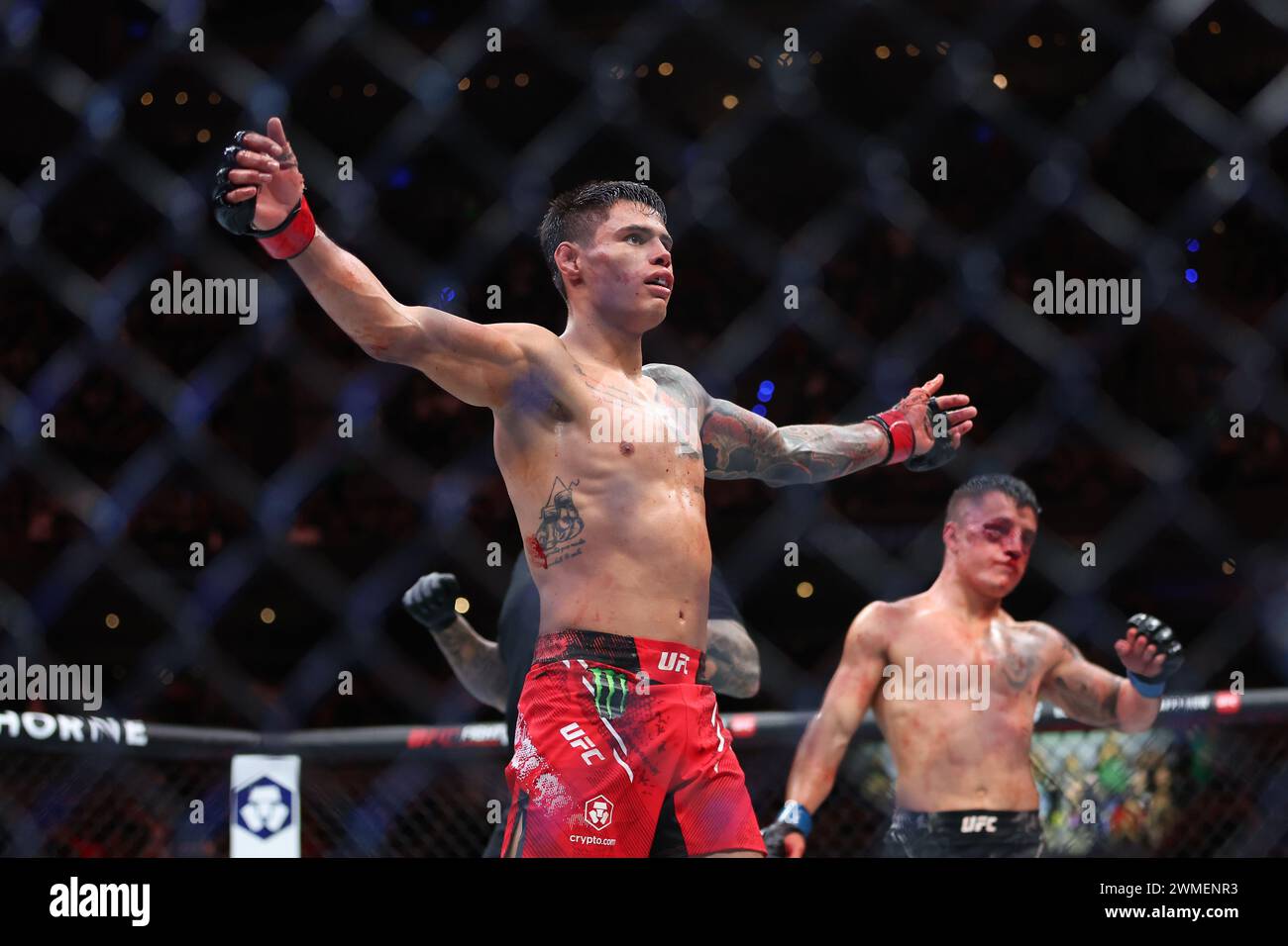 Mexico City, Mexico. 24th Feb, 2024. MEXICO CITY, MEX - February 24: Daniel Zellhuber and Francisco Prado fight in the 3-round Lightweight bout at the Arena CDMX for UFC Fight Night - Mexico City on February 24, 2024 in Mexico City, Distrito Federal, Mexico. (Photo by Alejandro Salazar/AG Fight) Credit: Px Images/Alamy Live News Stock Photo
