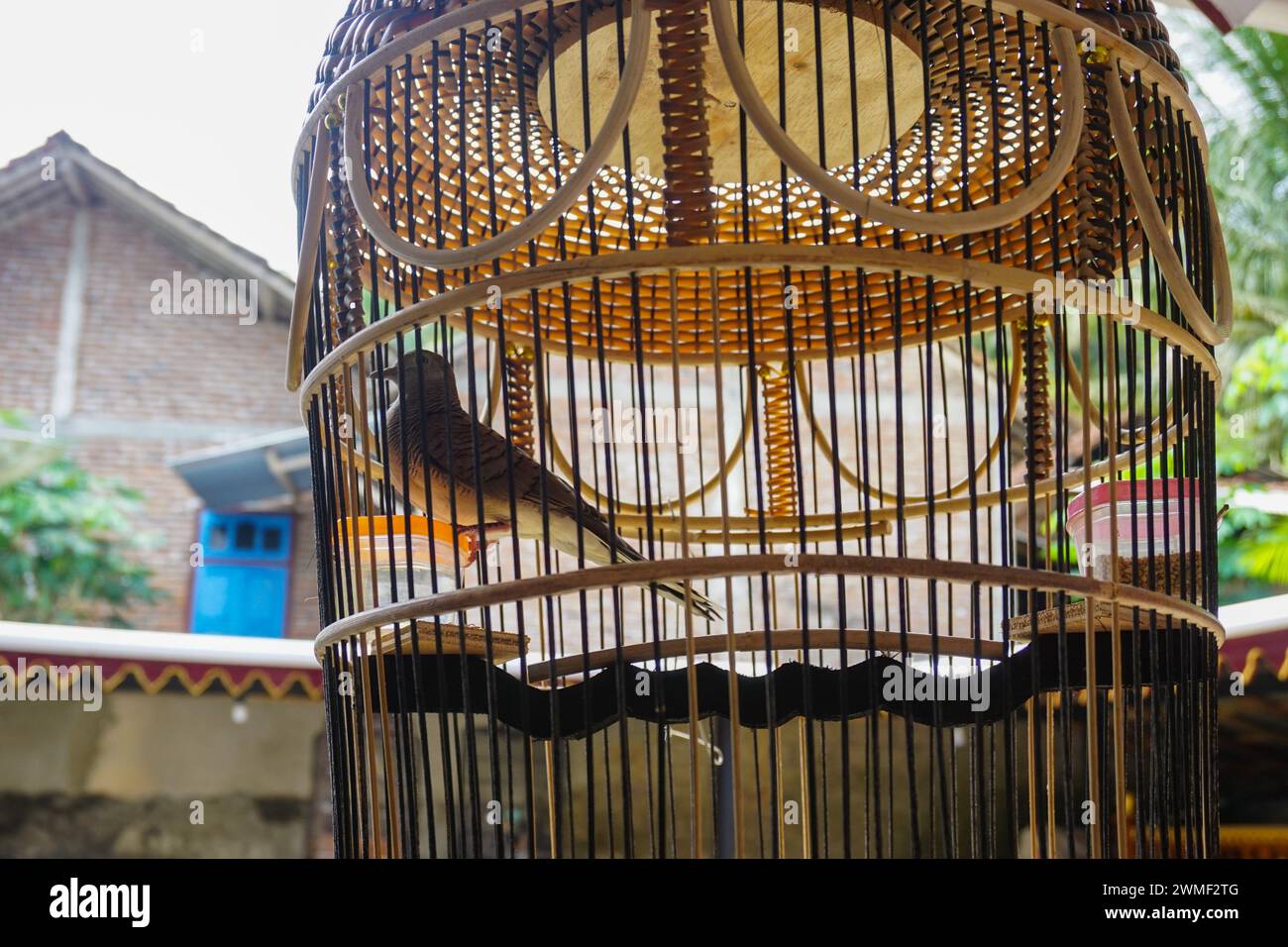 View of Stock photo of cute bird in cage on cafe interior background, cute ...