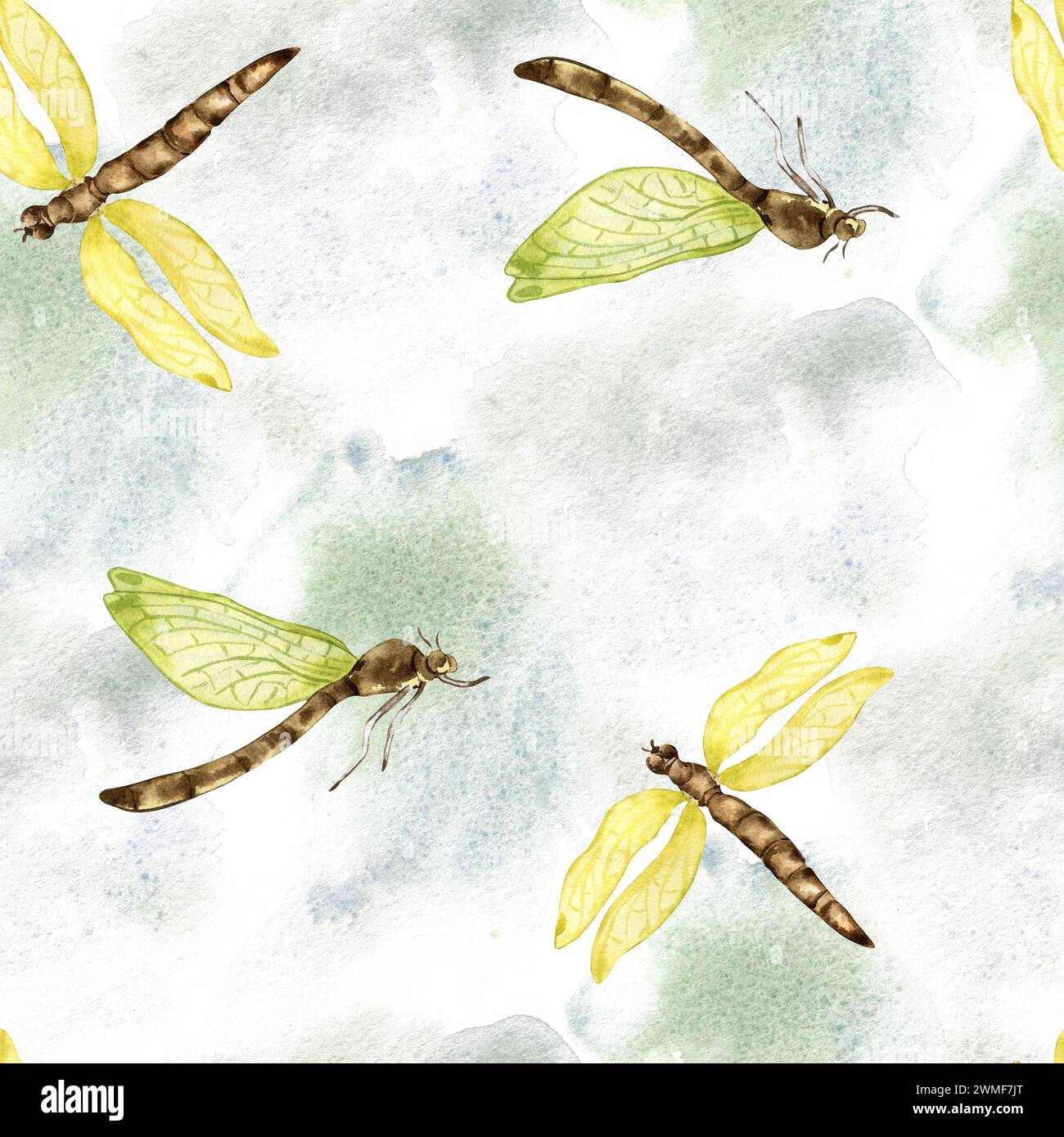 Dragonflies on watercolor backdrop seamless pattern isolated on white ...