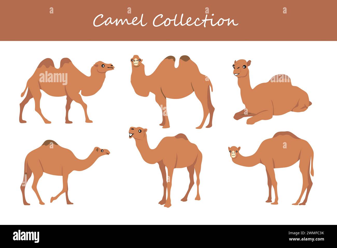 Camel vector illustration set. Cute camel isolated on white background. Stock Vector