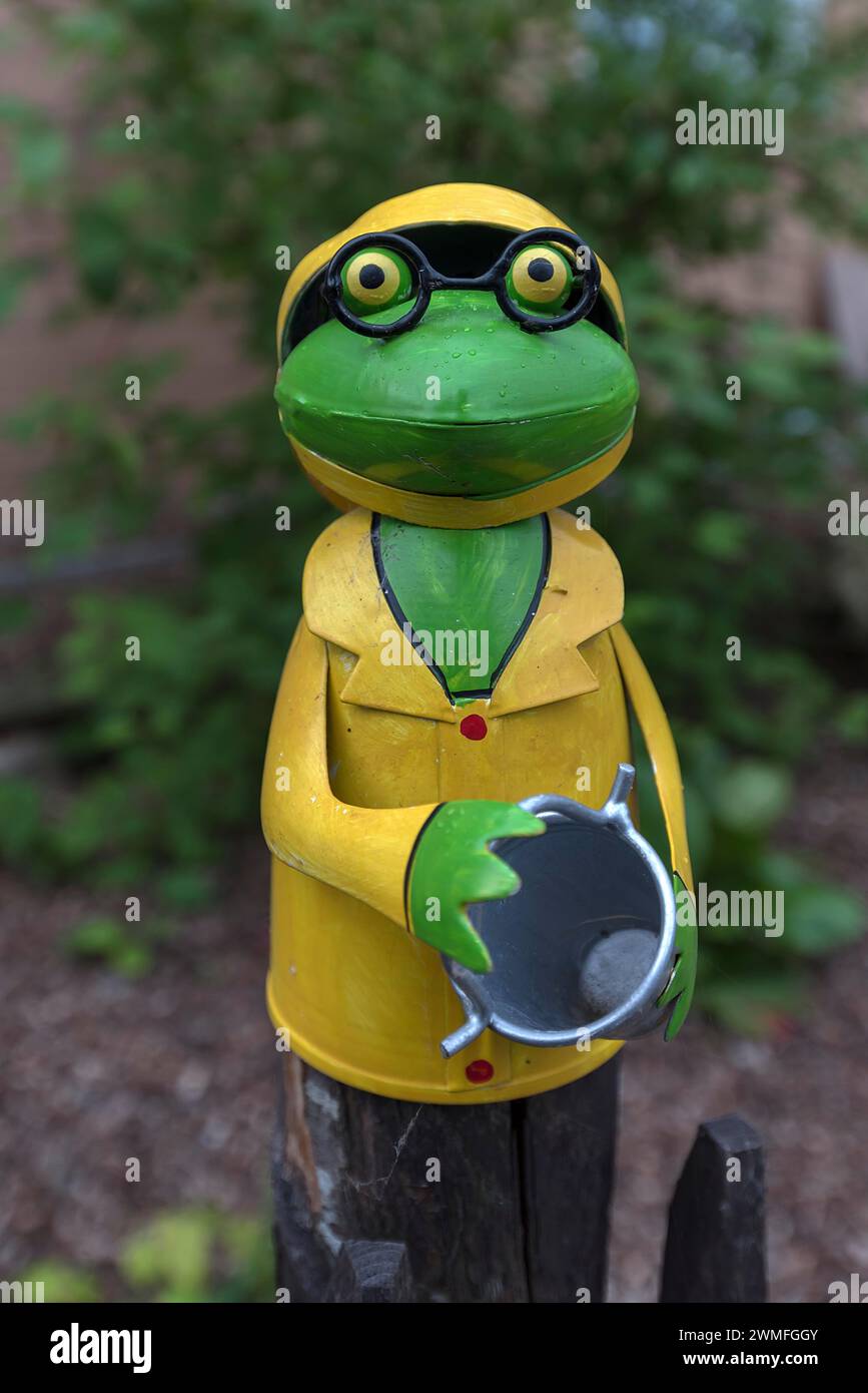 Colourful tin frog on a garden fence, Mecklenburg-Vorpommern, Germany Stock Photo