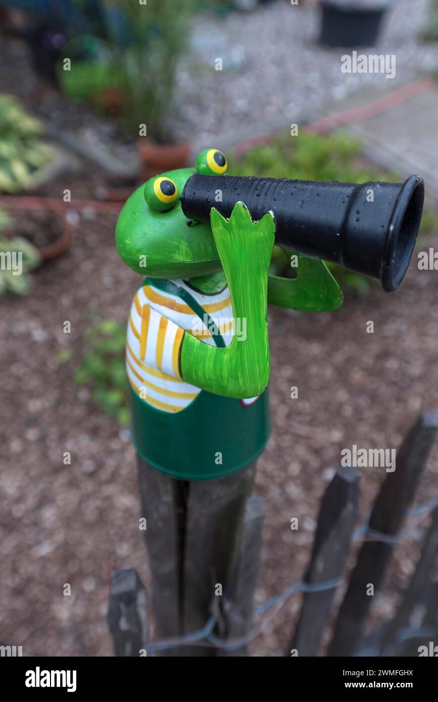 Colourful tin frog on a garden fence, Mecklenburg-Vorpommern, Germany Stock Photo