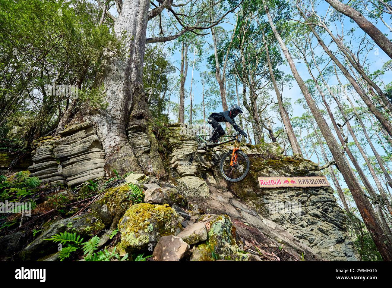 Maydena Bike Park in Tasmania hosted the firstever Red Bull Hardline
