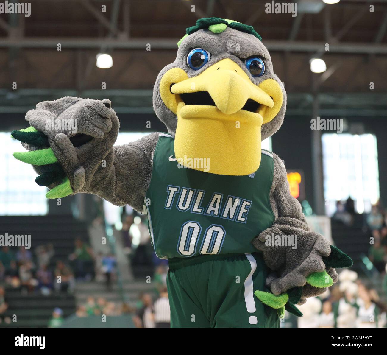 New Orleans, USA. 25th Feb, 2024. Tulane Green Wave mascot Riptide ...