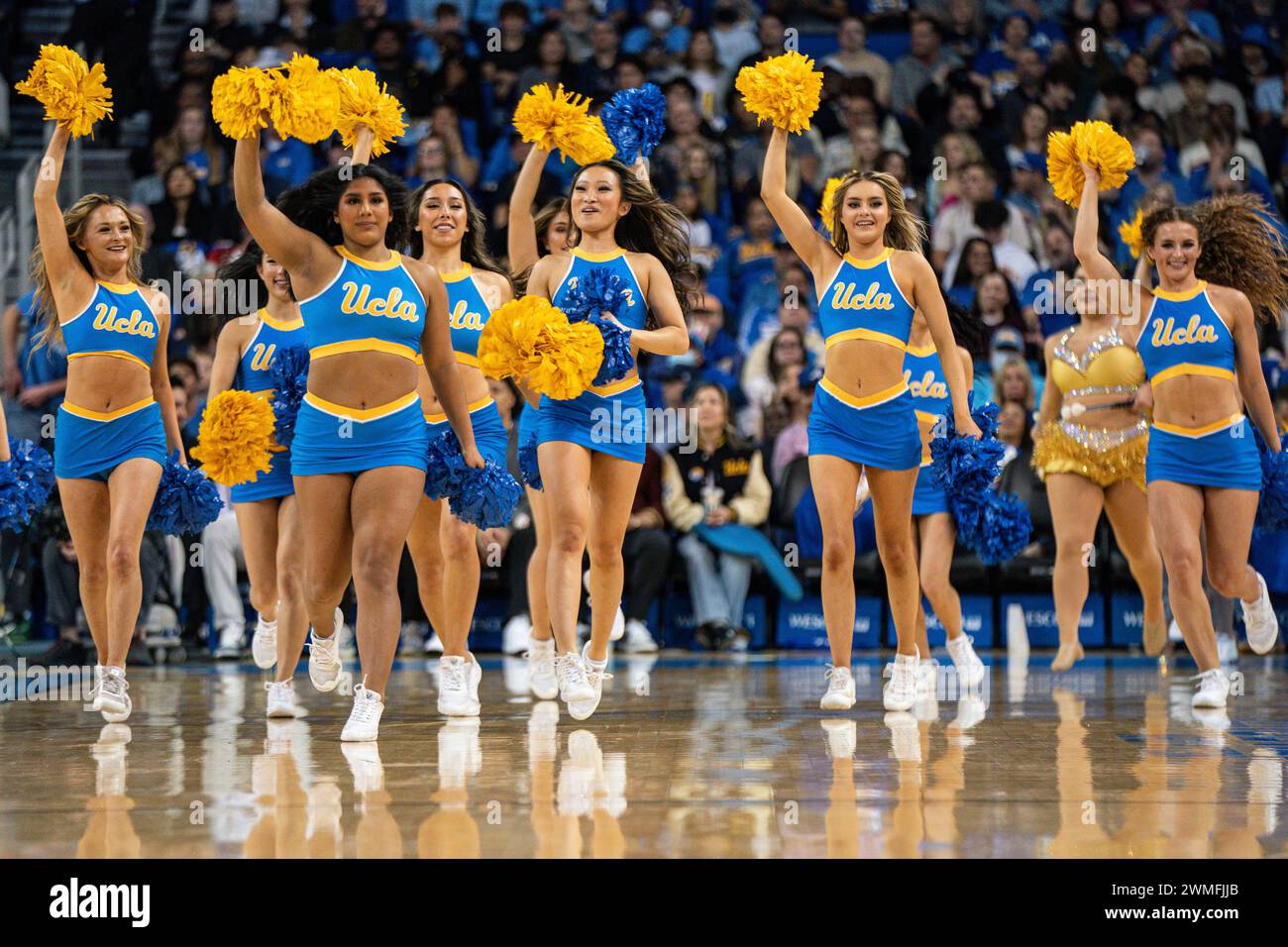 UCLA cheerleaders take the court during a NCAA basketball game against the USC Trojans, Saturday, February 24, 2024, at Pauley Pavilion, in Westwood, Stock Photo