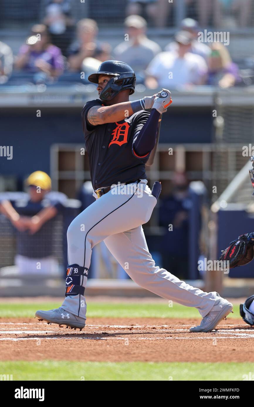 Port Charlotte, FL: Detroit Tigers designated hitter Justyn-Henry Malloy (82) singles to left field during an MLB spring training game against the Tam Stock Photo