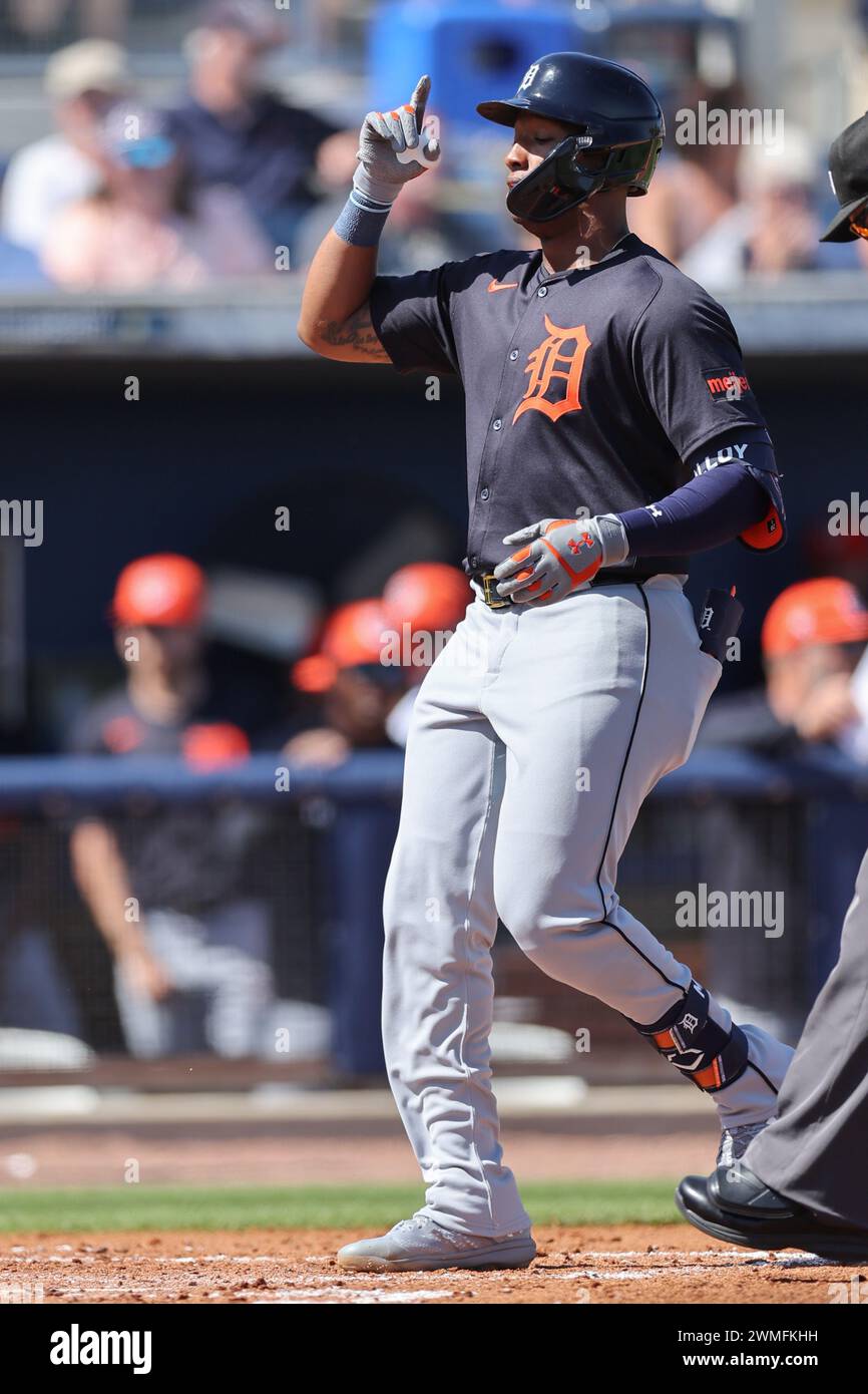 Port Charlotte, FL: Detroit Tigers designated hitter Justyn-Henry Malloy (82) homers to right center during an MLB spring training game against the Ta Stock Photo