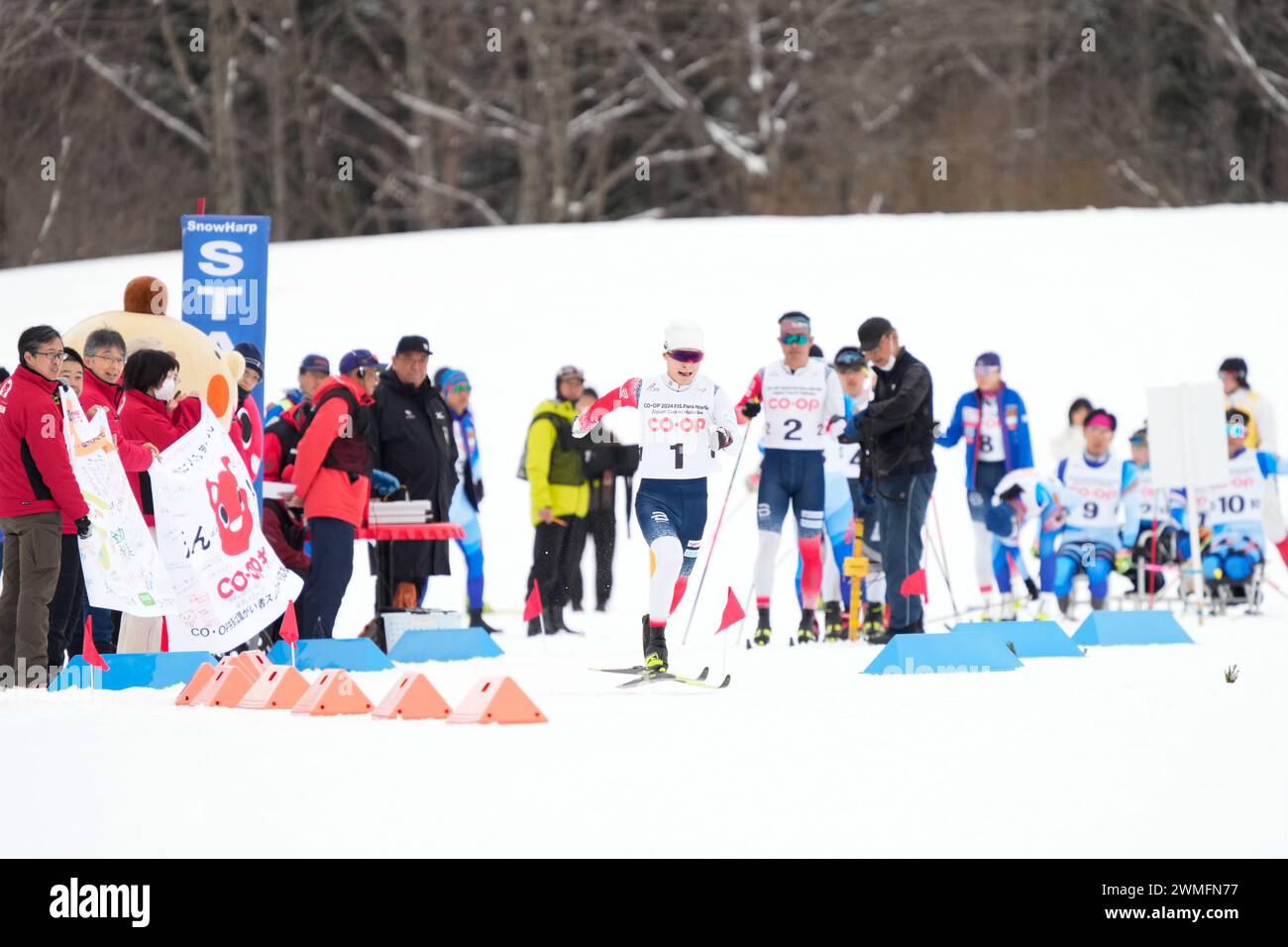 Hakuba Japan. 24th Feb, 2024. Taiki Kawayoke (JPN), FEBRUARY 24, 2024