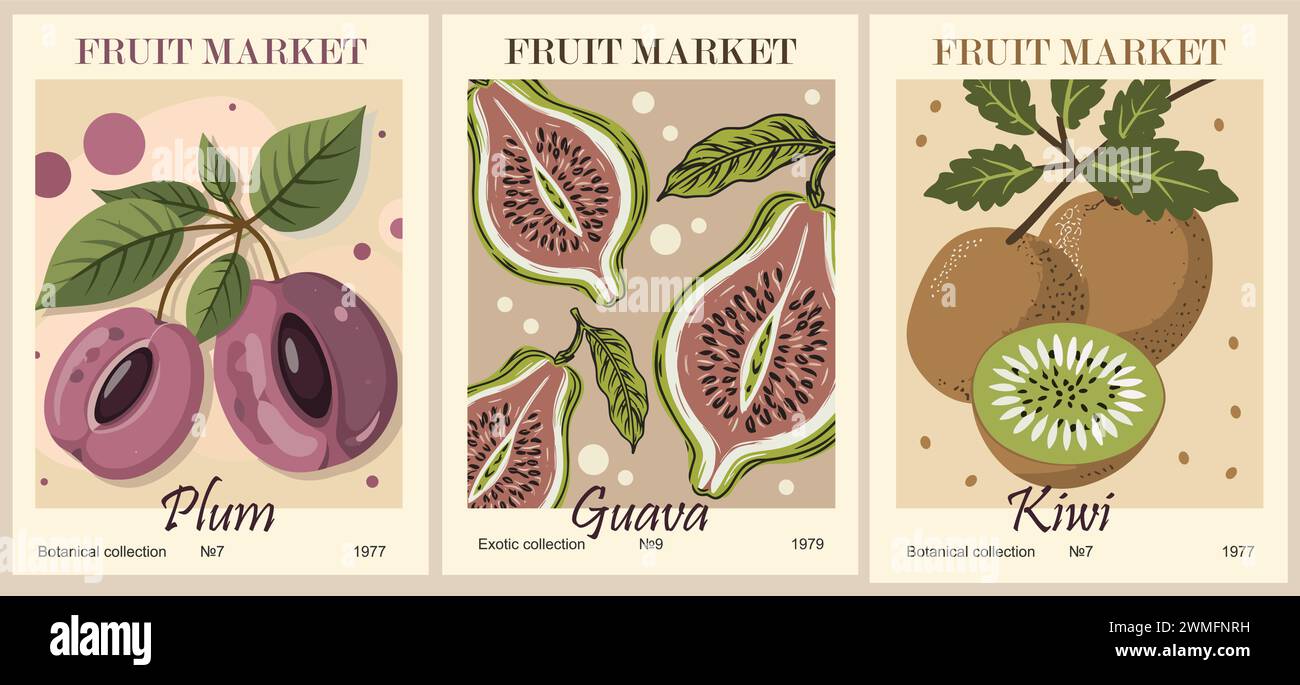Set of abstract Fruit Market retro posters. Stock Vector