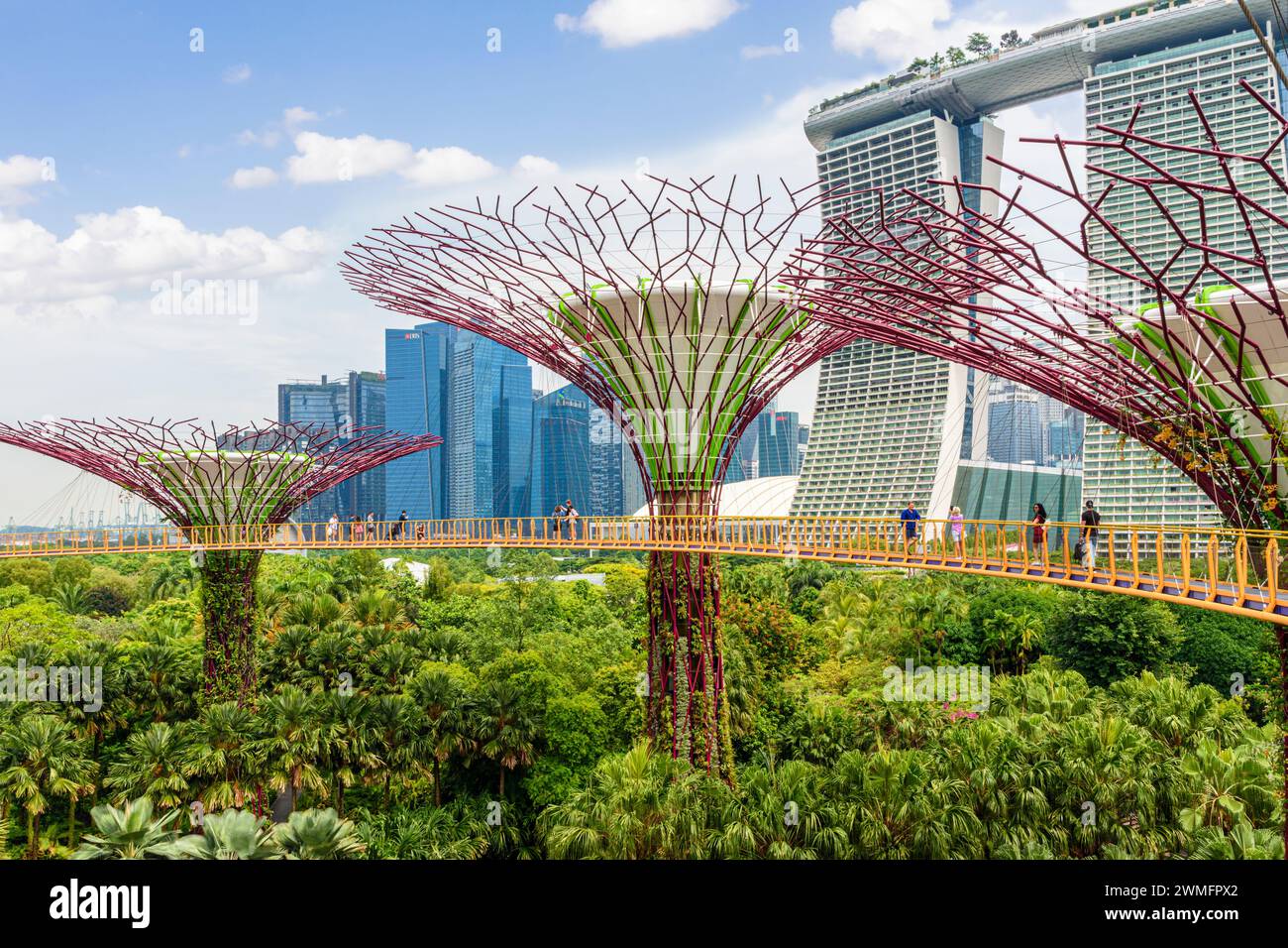 People on the elevated walkway through the Supertree Grove at Gardens by the Bay, Singapore Stock Photo