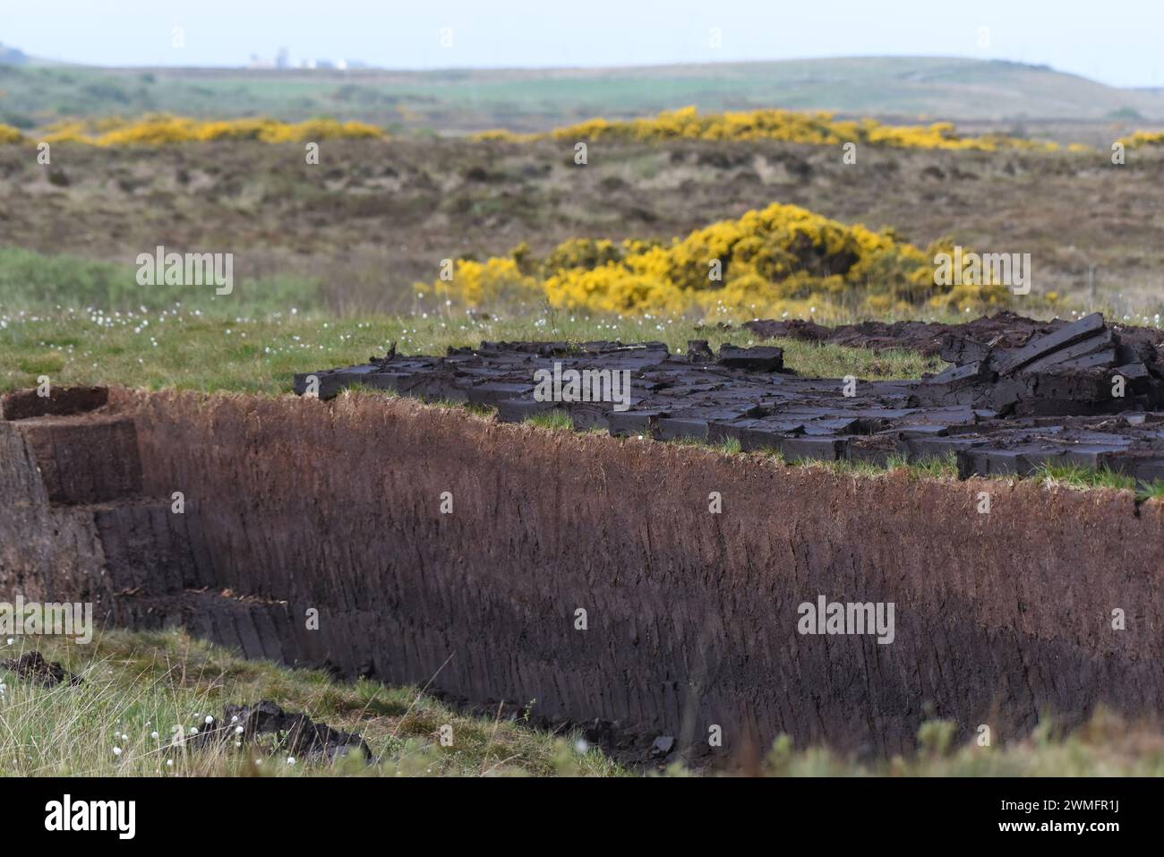 Cutting peat on the isle of Islay, Scotland Stock Photo