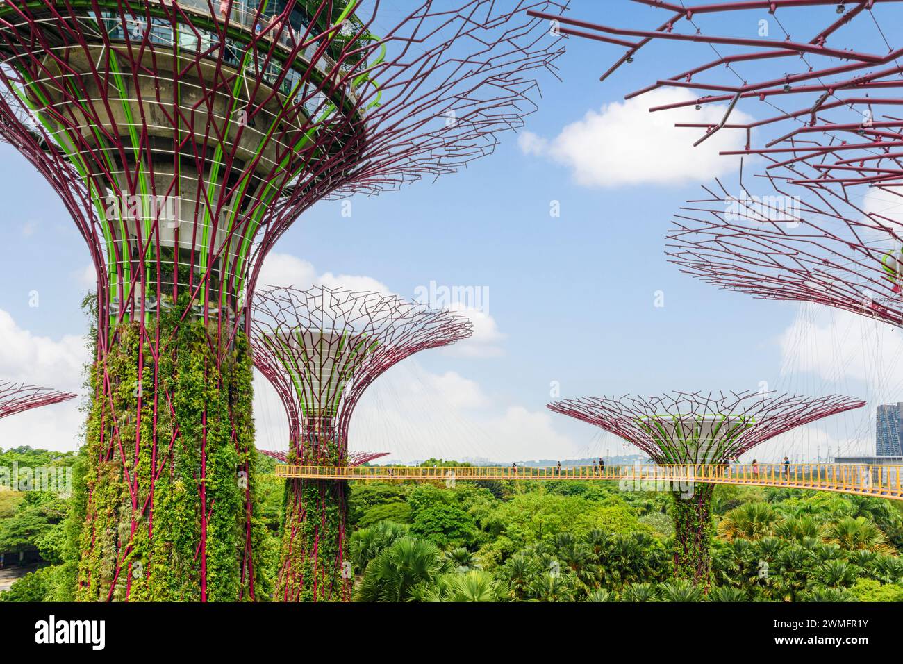 The elevated walkway through the Supertree Grove at Gardens by the Bay, Singapore Stock Photo