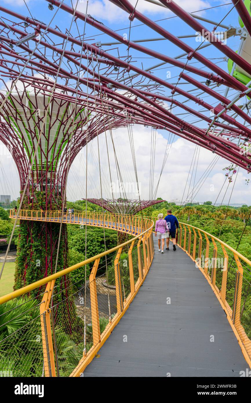 People on the elevated walkway through the Supertree Grove at Gardens by the Bay, Singapore Stock Photo
