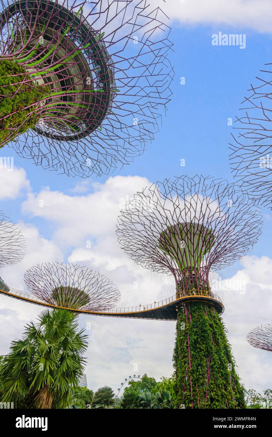 The elevated walkway through the Supertree Grove at Gardens by the Bay, Singapore Stock Photo