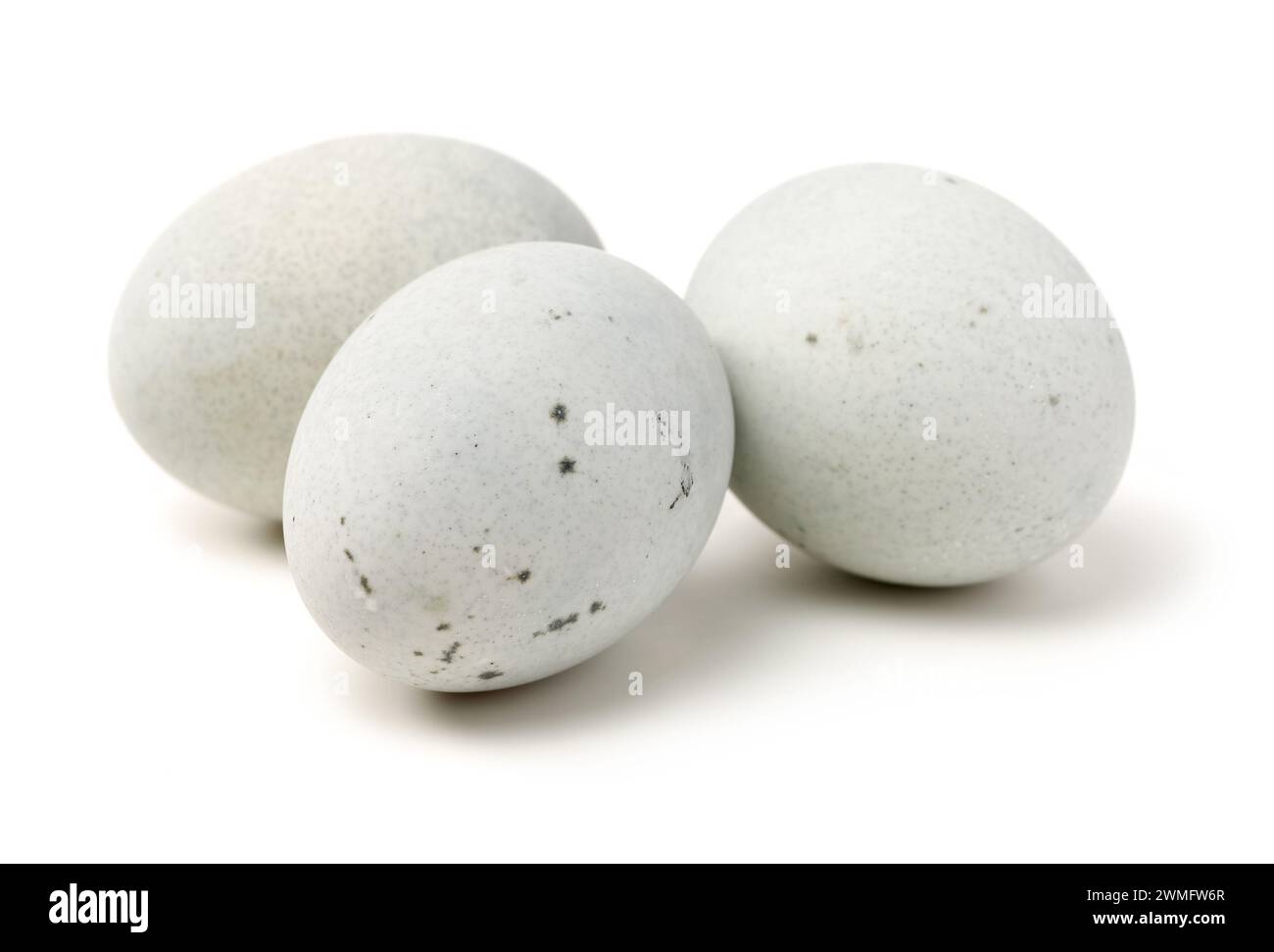 Preserved Duck Eggs On White Background Stock Photo Alamy preserved-duck-eggs-on-white-background-stock-photo-alamy