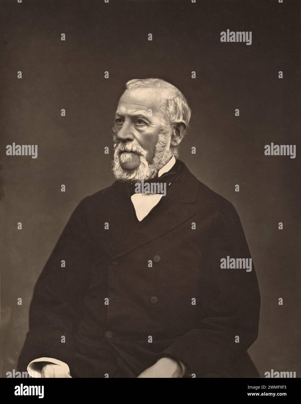 Portrait of Henri Martin (1810-1883) French Historian and Author of 'Histoire de France'. Vintage or Historic Carbon Print c1880 Stock Photo