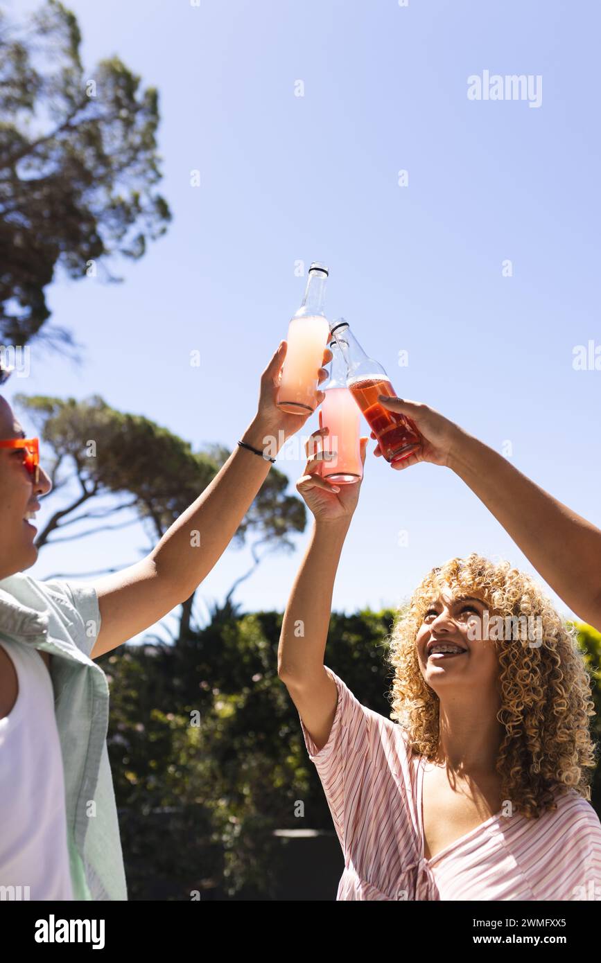 Diverse friends toast under the bright sun, with copy space Stock Photo