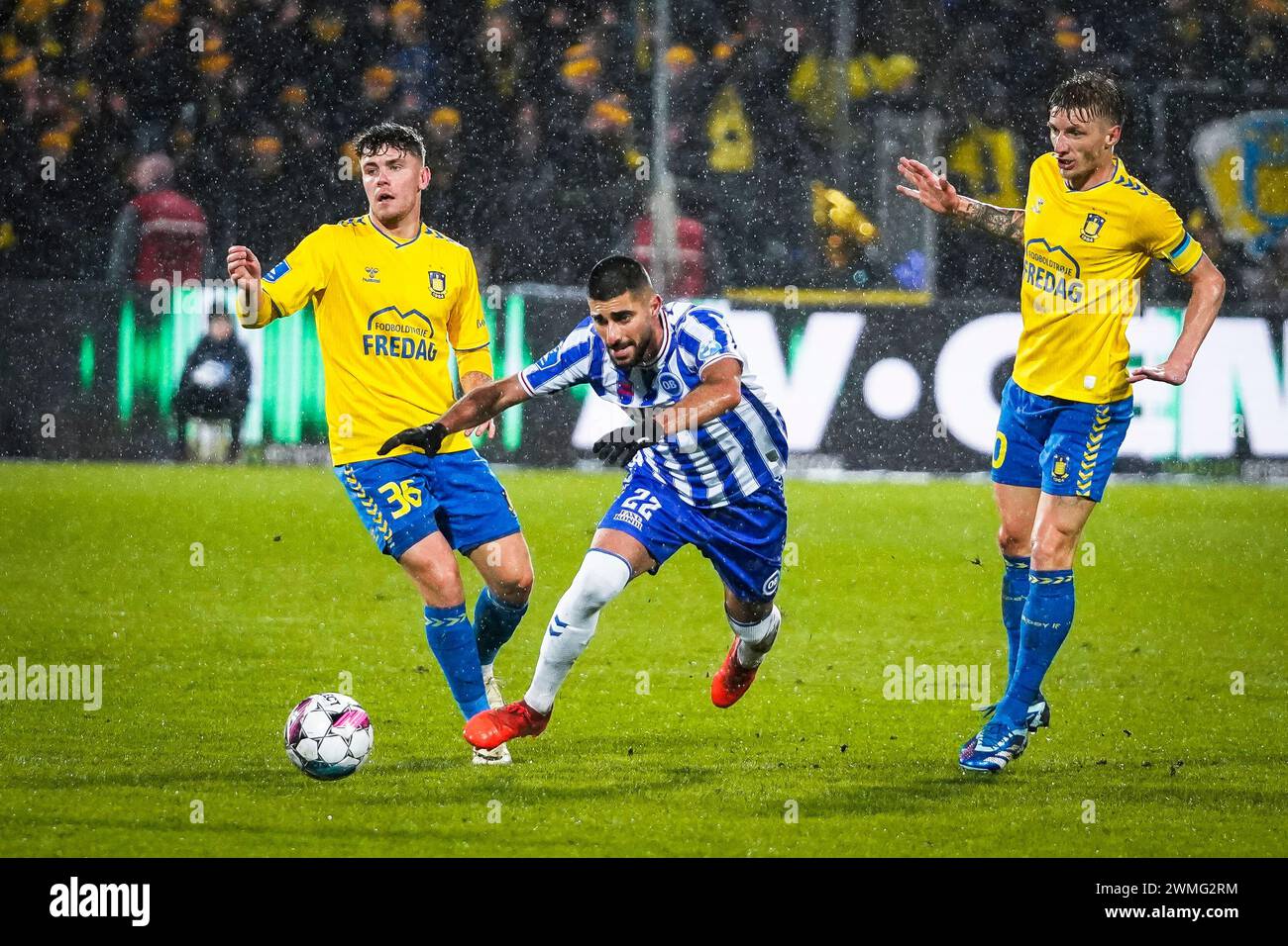 Odense, Denmark. 25th Feb, 2024. Rami Hajal (22) of OB seen in between Daniel Wass (10) and Mathias Kvistgaarden (36) of Brøndby IF during the 3F Superliga match between Odense BK and Broendby IF at Nature Energy Park in Odense. (Photo Credit: Gonzales Photo/Alamy Live News Stock Photo