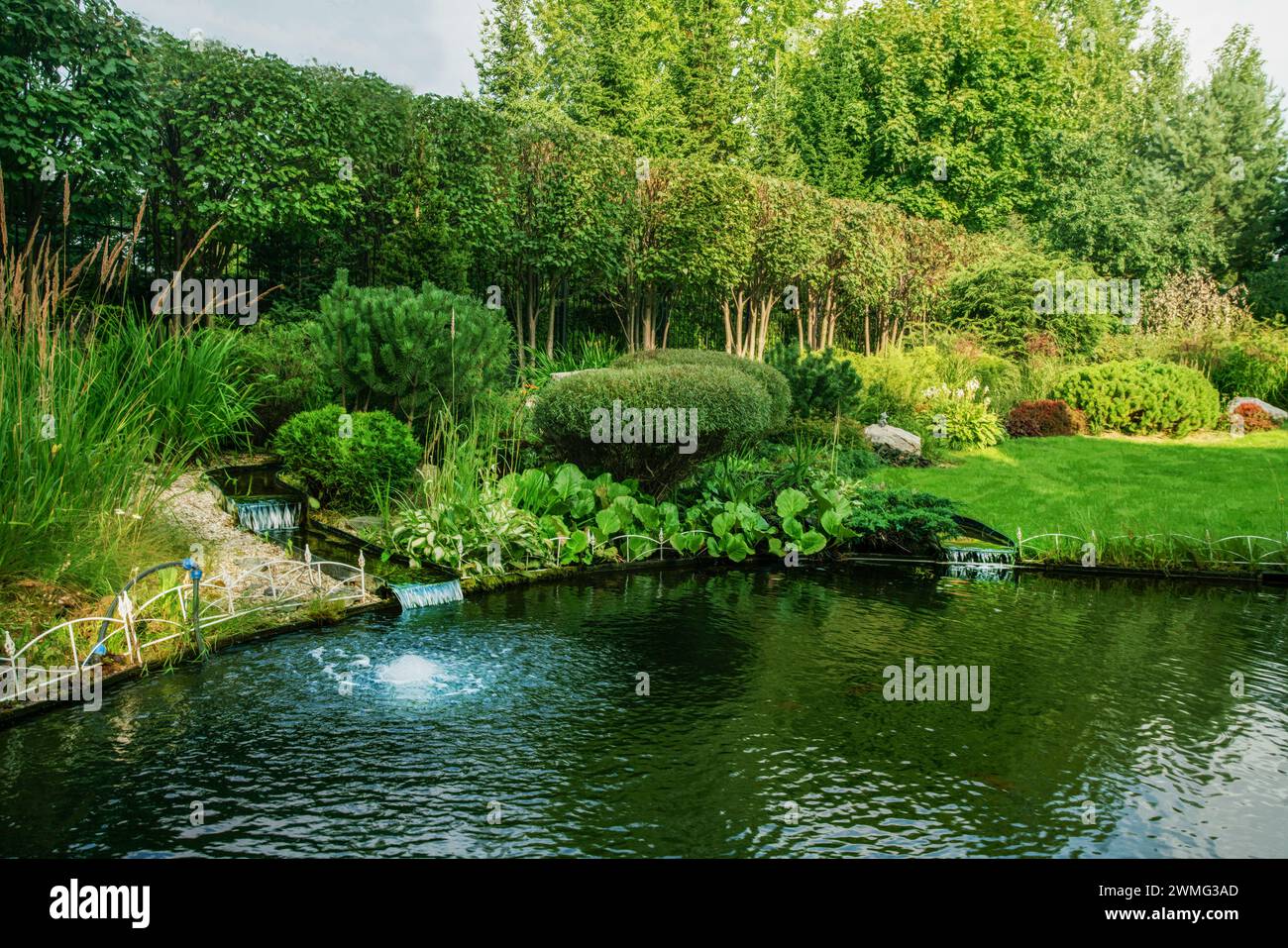 Awe Water Garden  with 2 artifial streams and small fountain in water next to cottage in prosperous village next to Khimki in  Moscow Oblast. Topiary Stock Photo