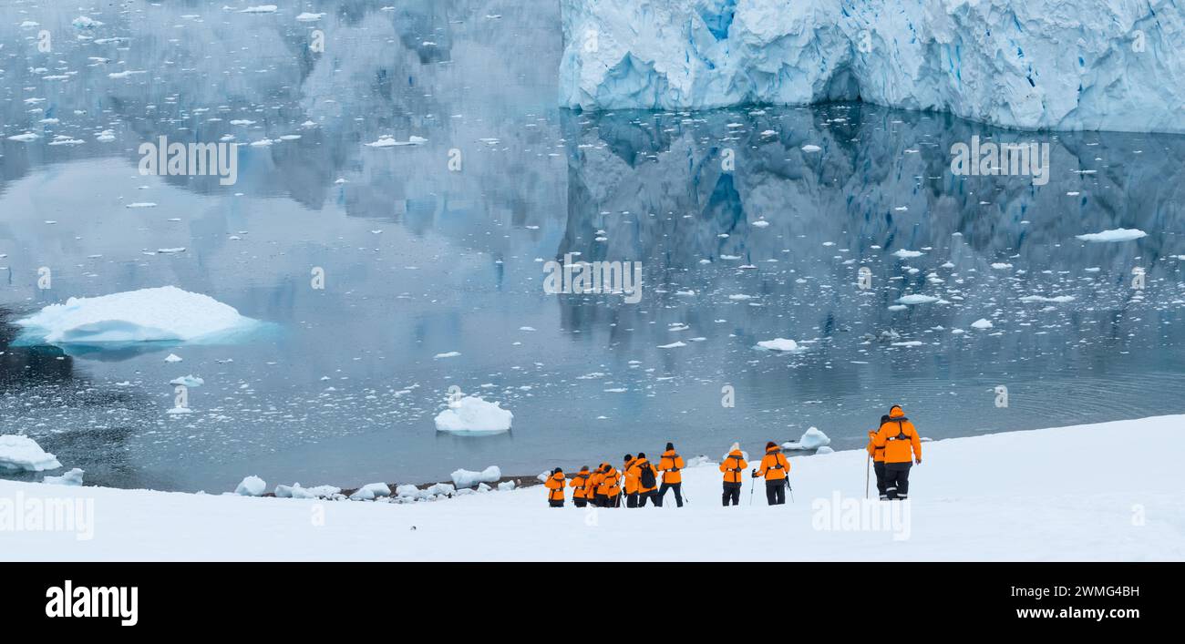 Neko Harbor, Antarctica - January 12, 2024: Cruise tourists hiking in the snow during expedition in Antarctica. Stock Photo