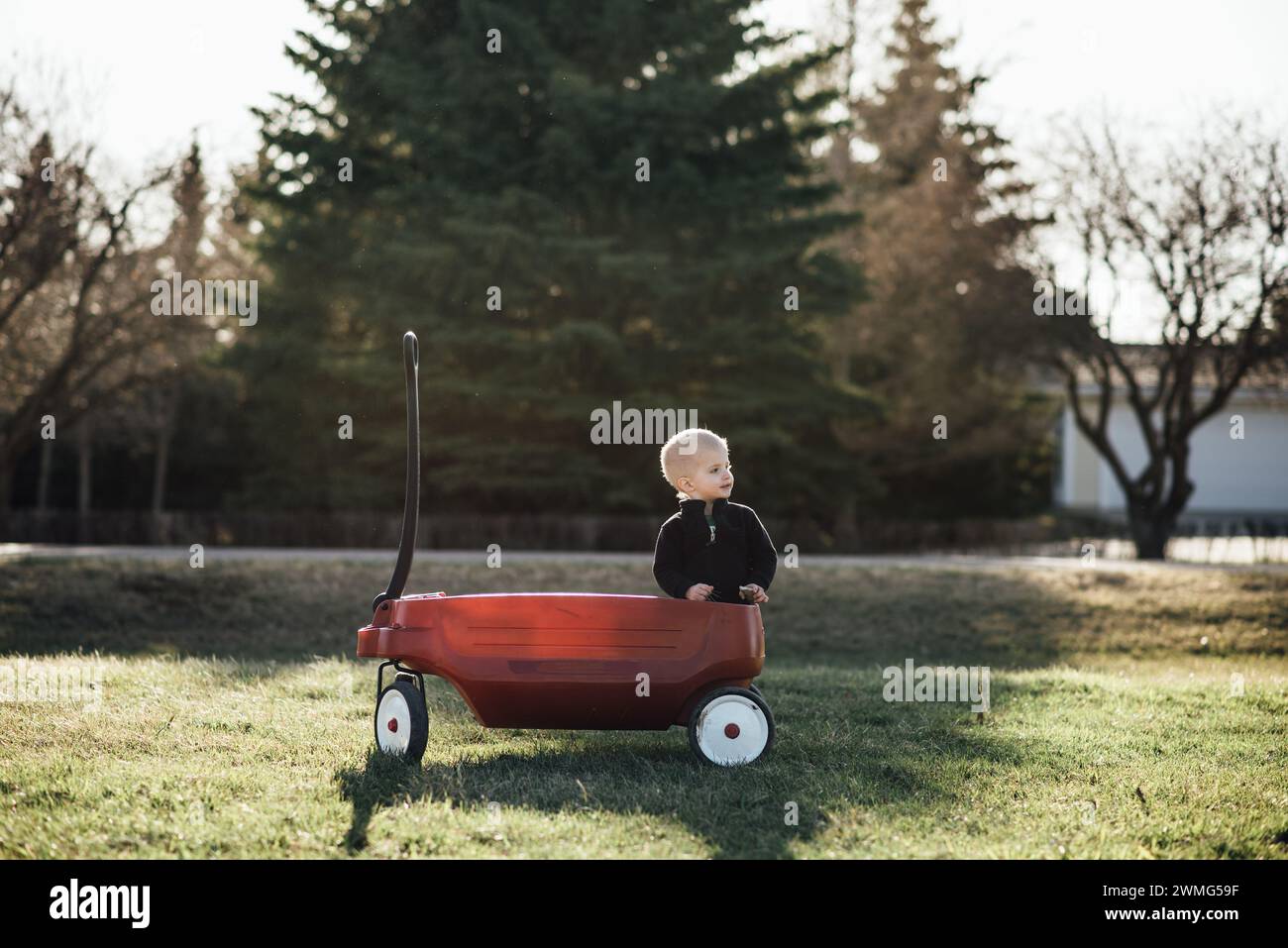 Full view of toddler boy sitting in red wagon in nature at home Stock ...
