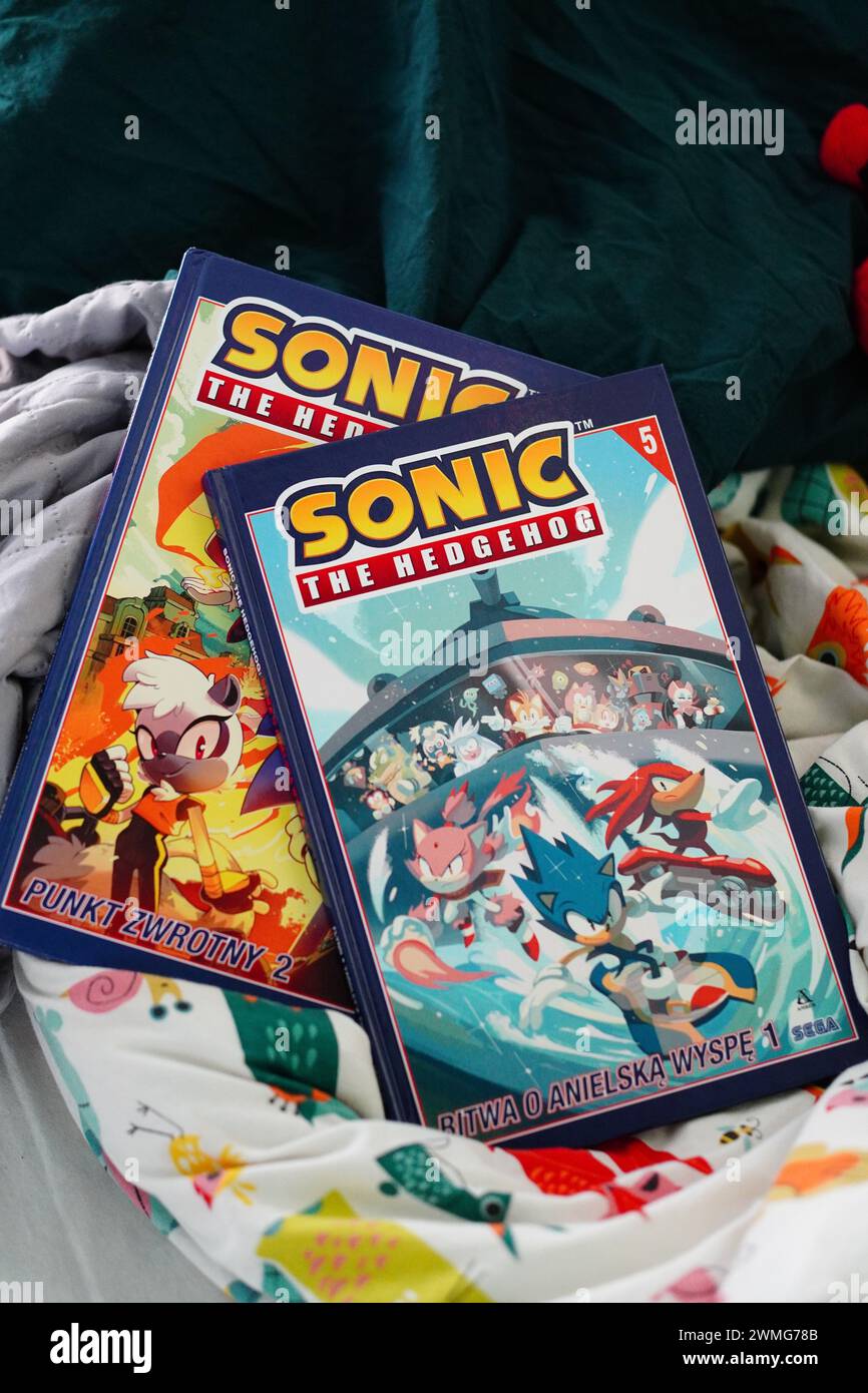 The comic books with Sonic the Hedgehog characters on the cover Stock Photo