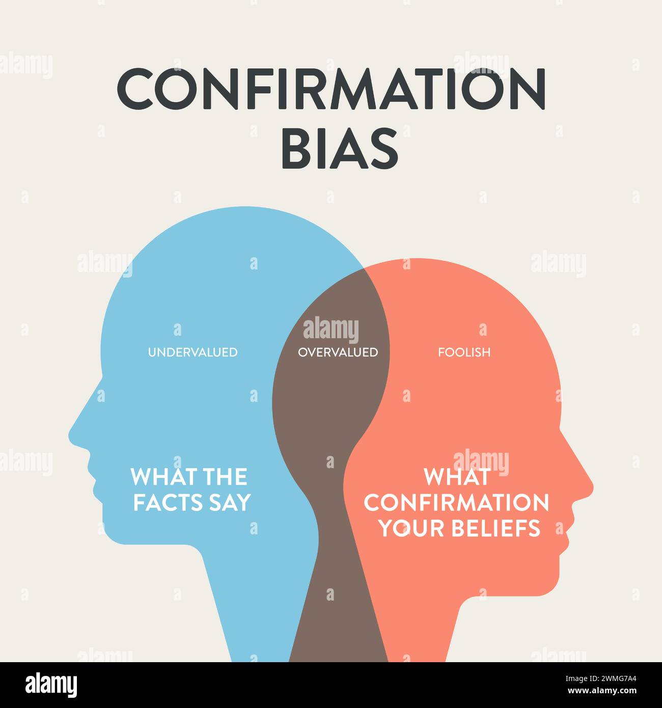 Confirmation Bias Infographic Diagram Chart Illustration Banner With