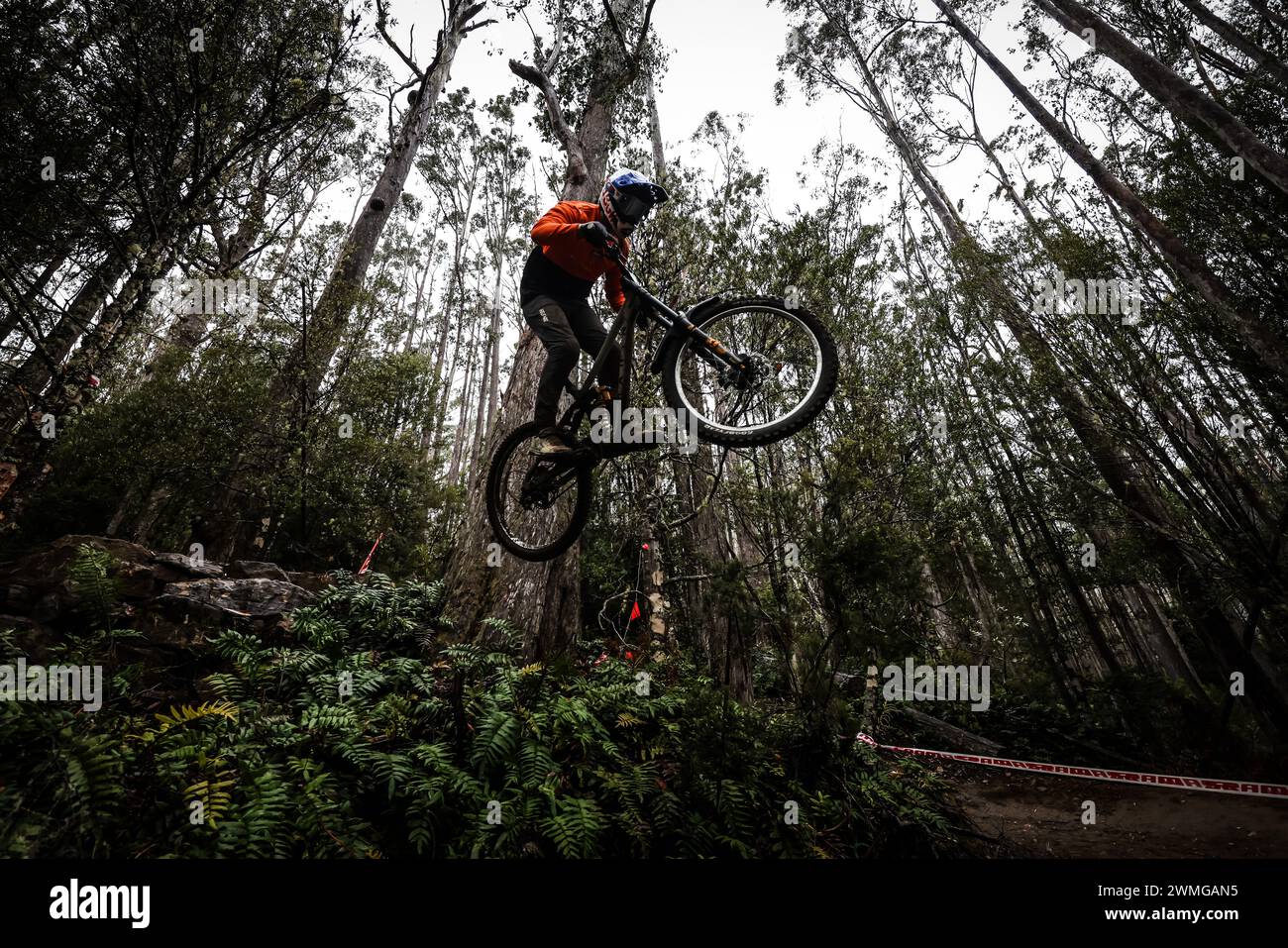 2024 Red Bull Hardline Tasmania Seeding Stock Photo Alamy
