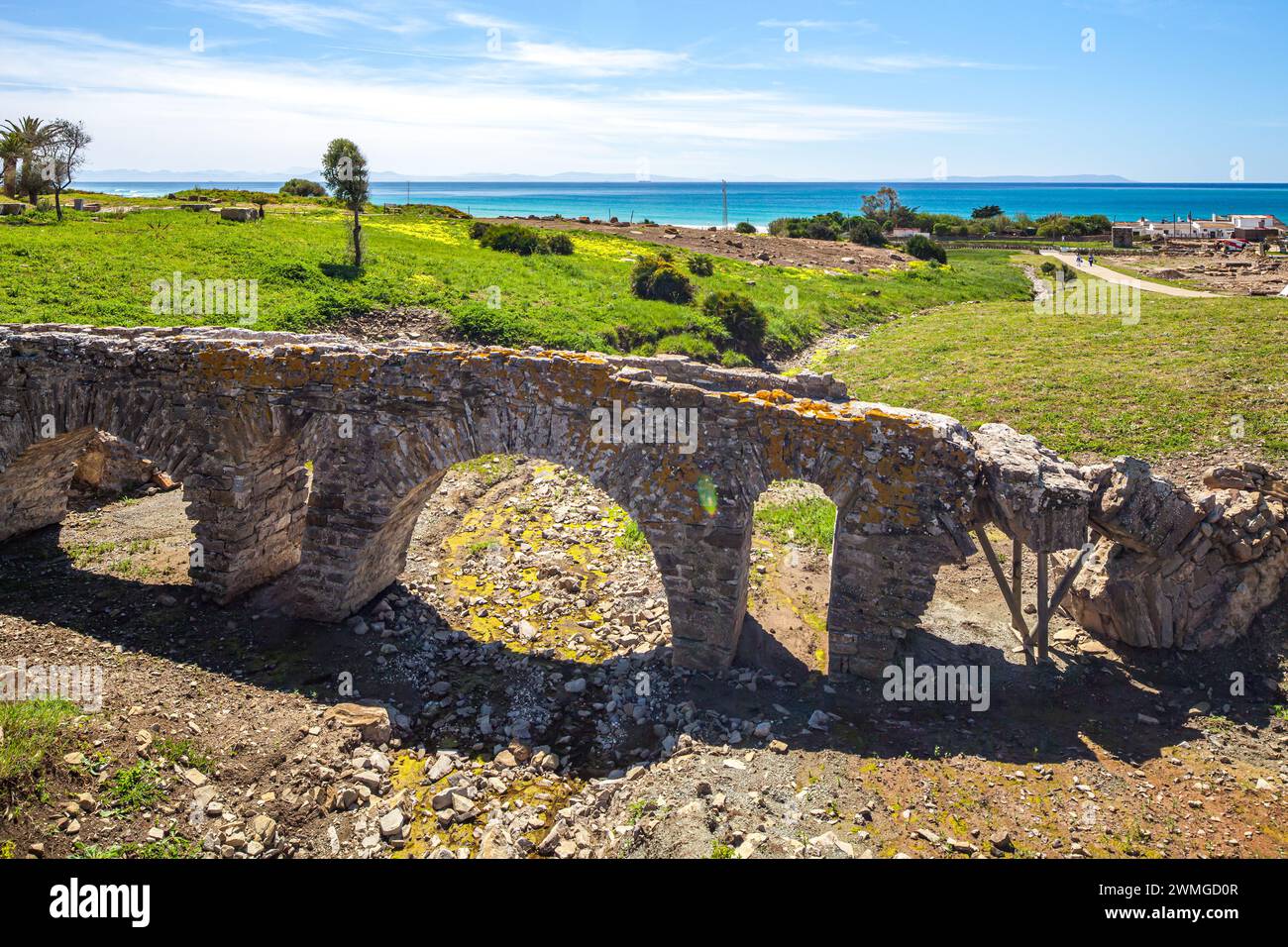 Ruins of an ancient bridge in a green field, with the blue sea and clear sky in the background. The ruins are from the Roman site of Baelo Claudia, lo Stock Photo