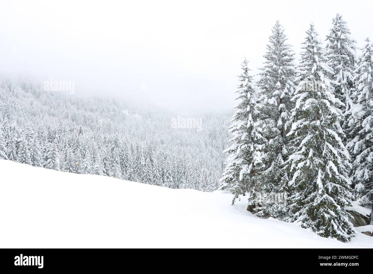 Winterlandschaft in den Bergen mit verschneitem Wald und winterlichem Himmel im Hintergrund Stock Photo