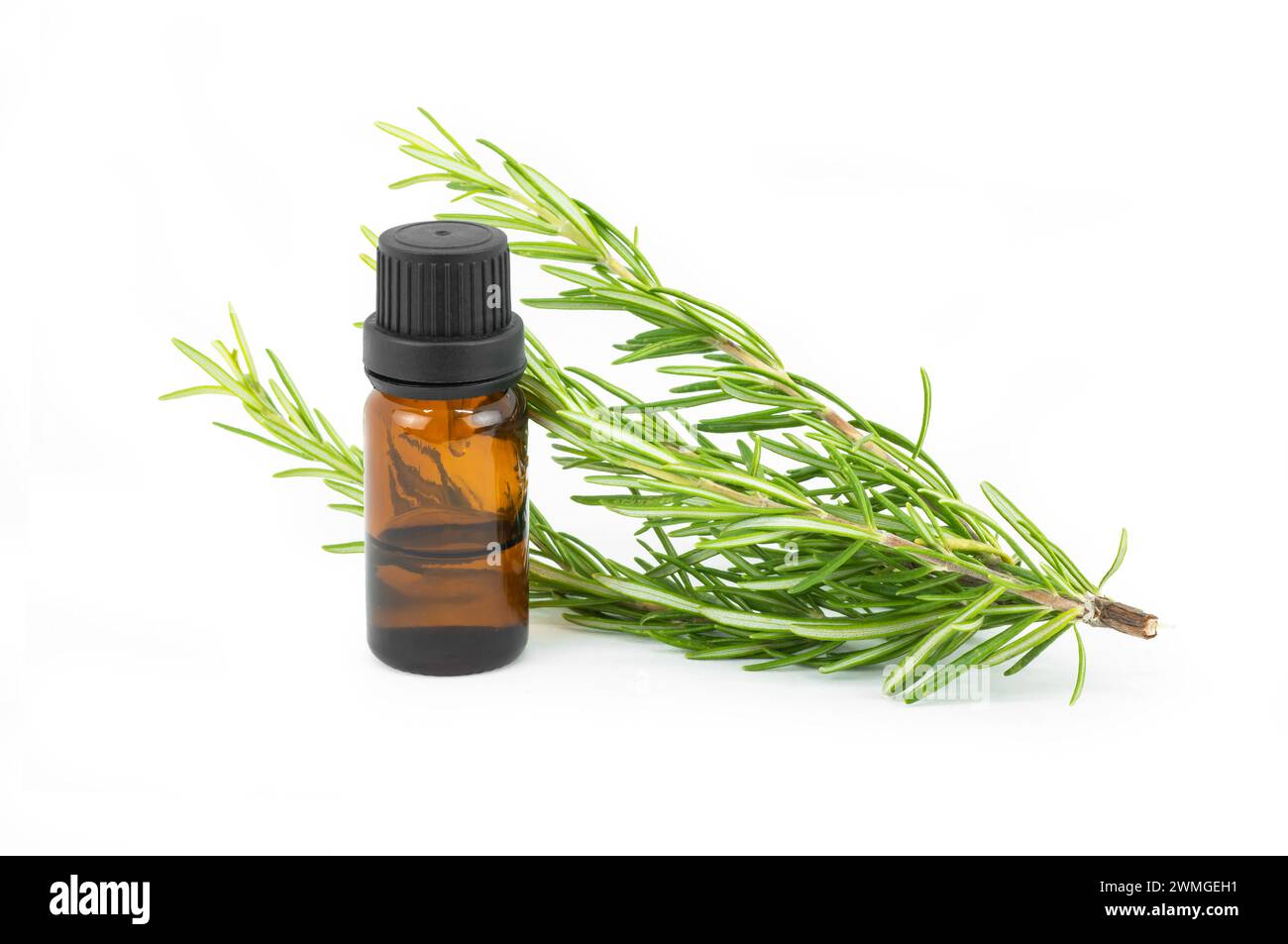 Glass bottle of essential rosemary oil with rosemary branch isolated on white background. herbal oil concept, Rosmarinus Officinalis Stock Photo