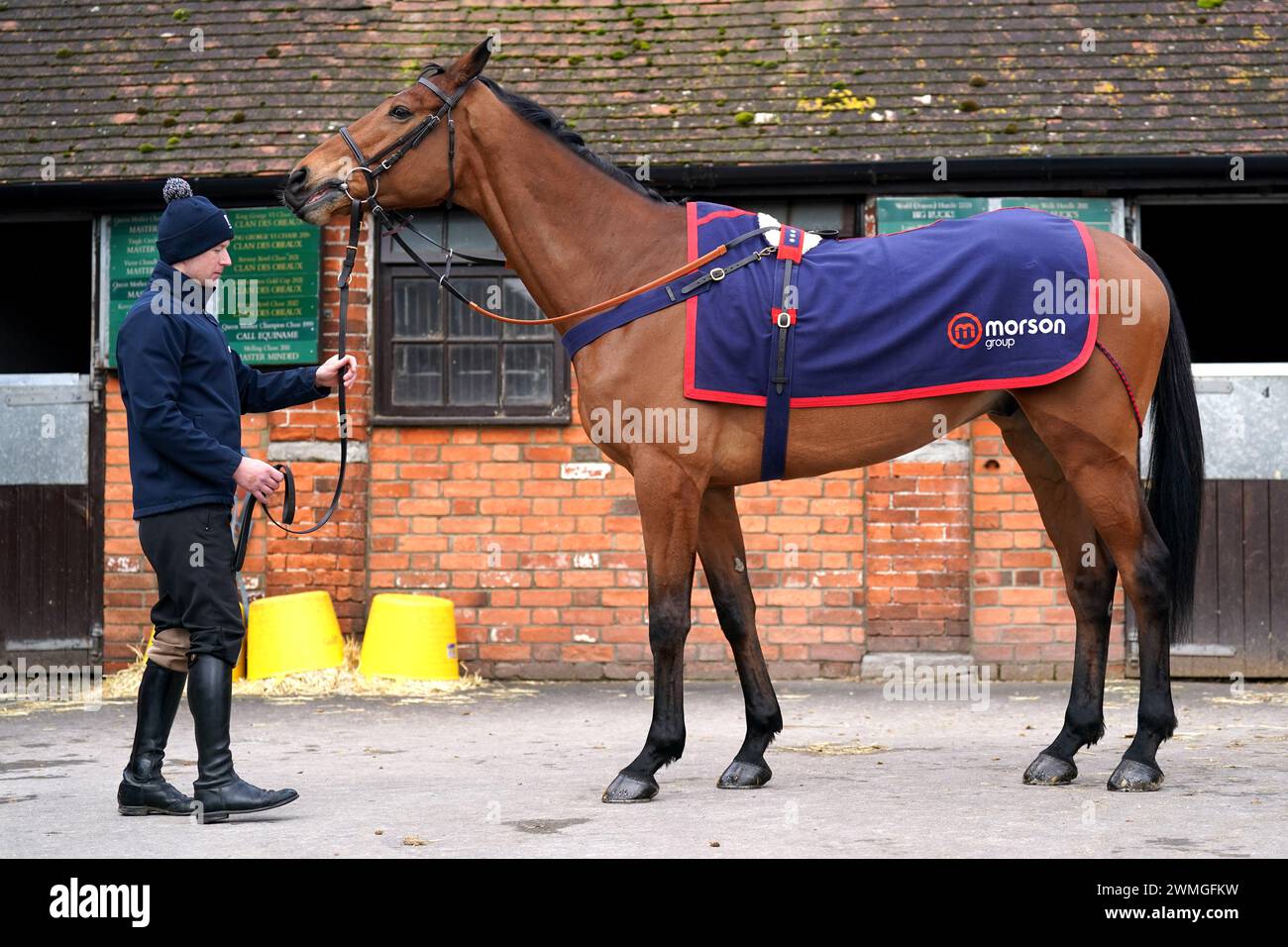 Horse Bravemansgame during a visit to Paul Nicholls' yard at Manor Farm