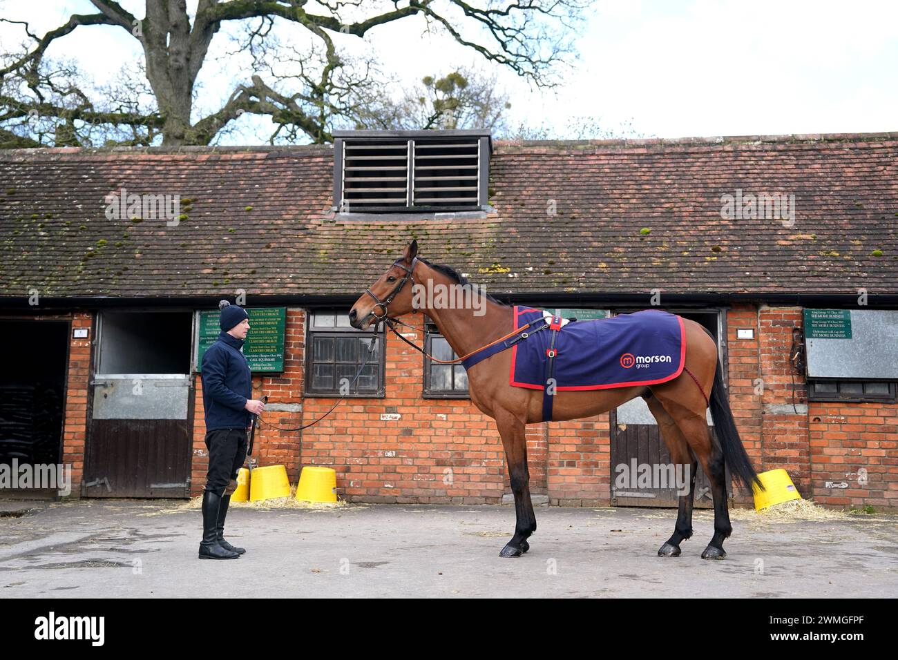 Horse Bravemansgame during a visit to Paul Nicholls' yard at Manor Farm