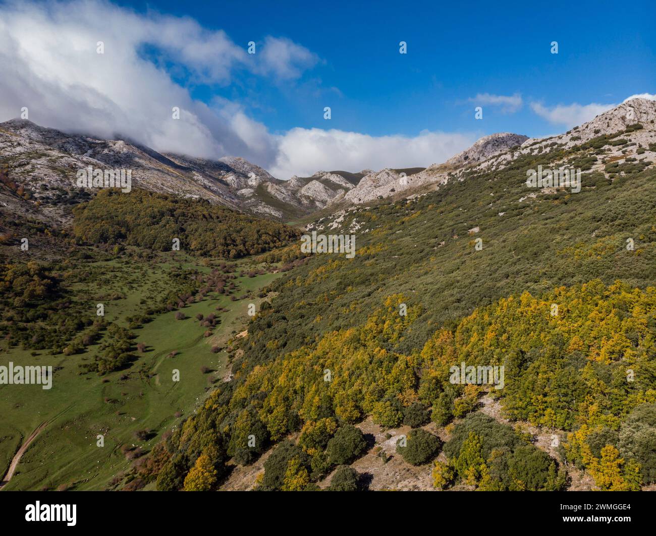 Tosande valley. Fuentes Carrionas Natural Park, Fuente Cobre- Palentina Mountain. Palencia,  Spain Stock Photo
