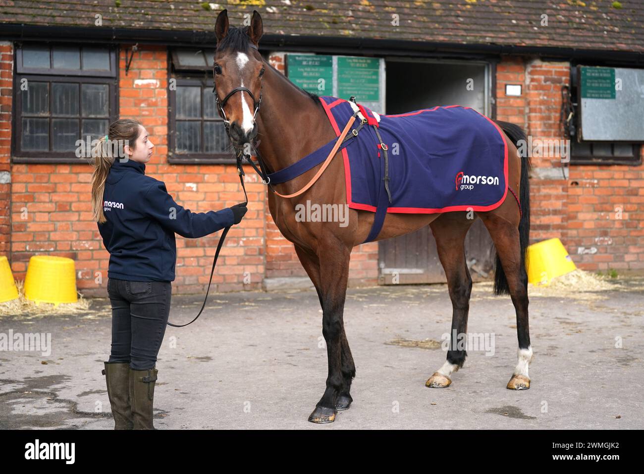 Horse Stay Away Fay during a visit to Paul Nicholls' yard at Manor Farm
