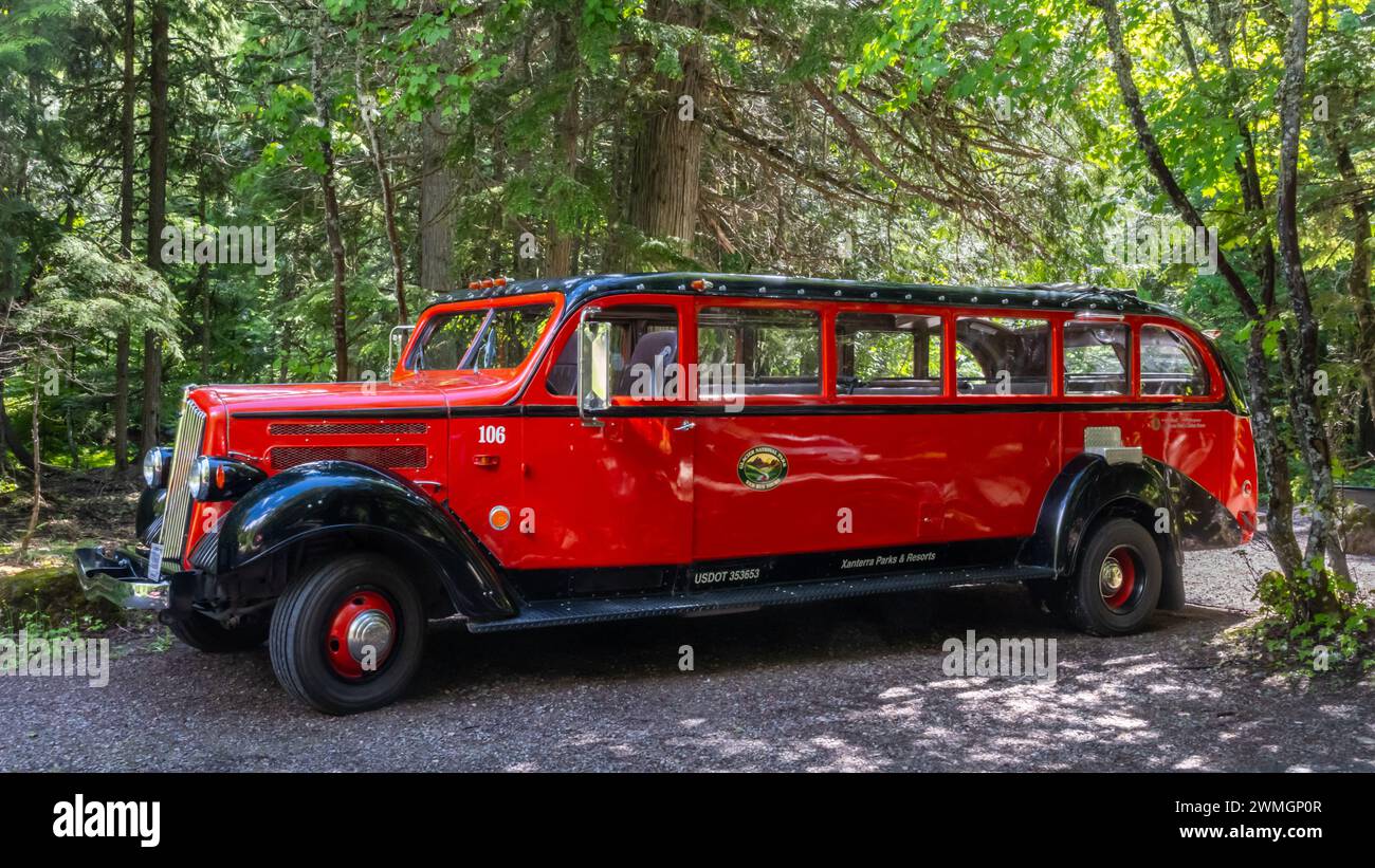 Red Jammer (a.k.a. red bus), vintage White Motor Company 706 bus, Glacier National Park, Montana Stock Photo