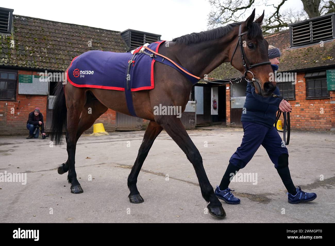 Horse Ginny's Destiny during a visit to Paul Nicholls' yard at Manor