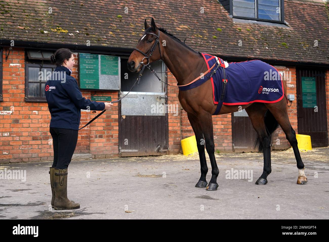Horse Hitman during a visit to Paul Nicholls' yard at Manor Farm Stables in Shepton Mallet, Somerset. Picture date: Monday February 26, 2024. Stock Photo