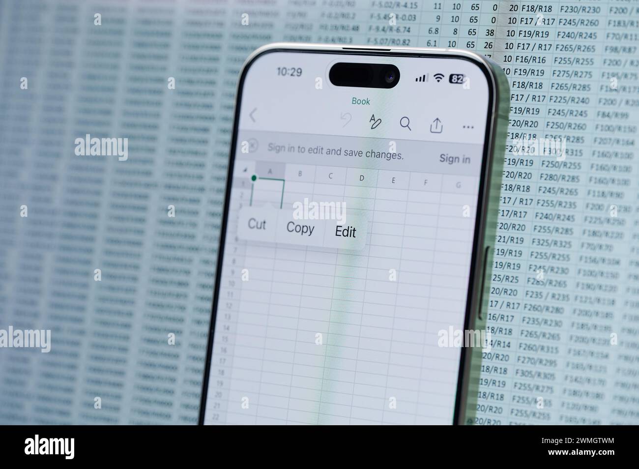 New York, USA February 22, 2024 Edit Microsoft excel file in