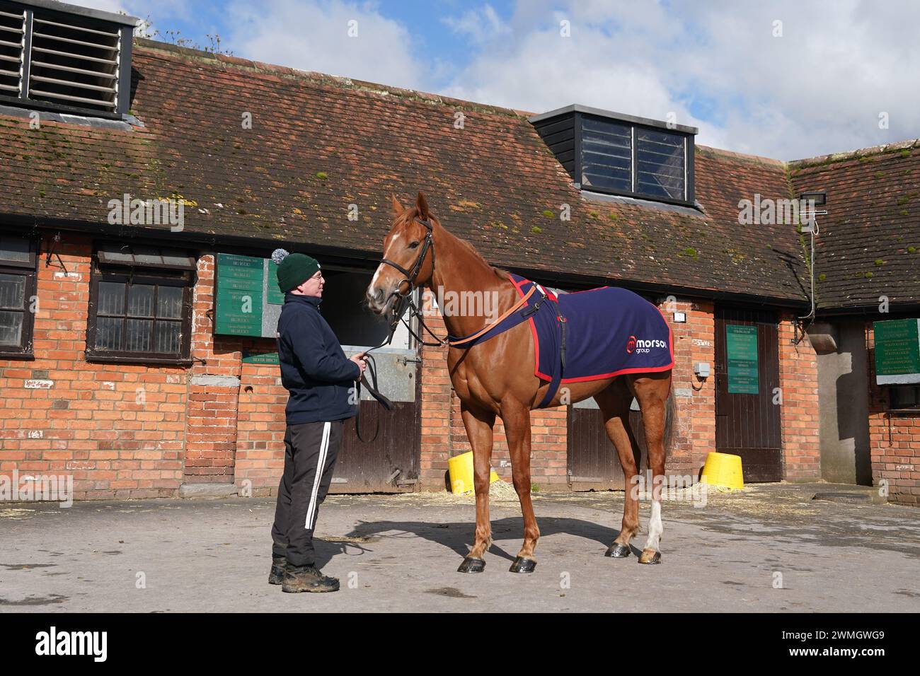 Horse Quebecois during a visit to Paul Nicholls' yard at Manor Farm