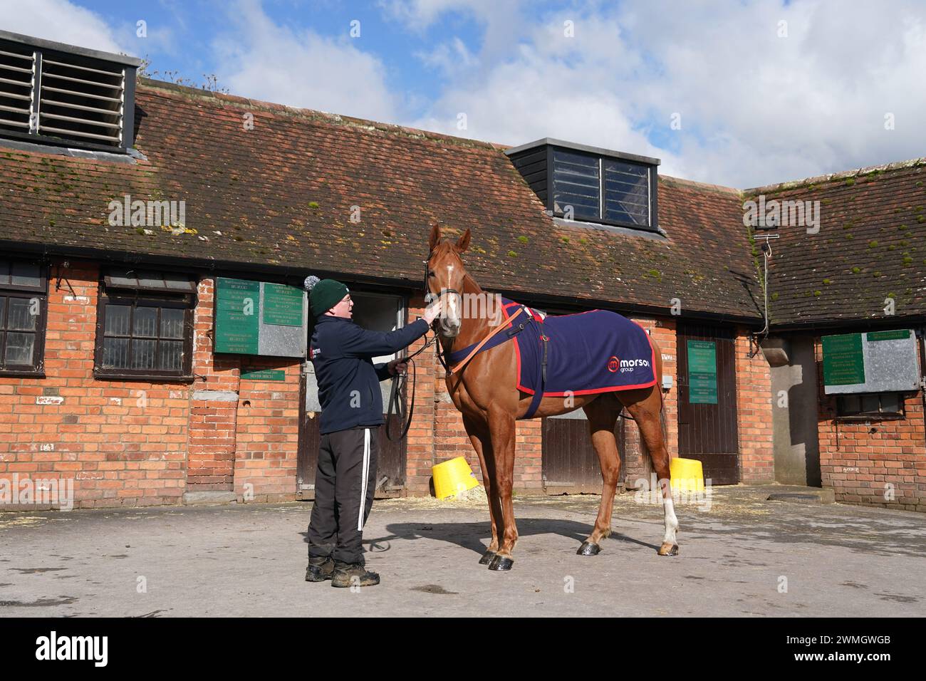 Horse Quebecois during a visit to Paul Nicholls' yard at Manor Farm