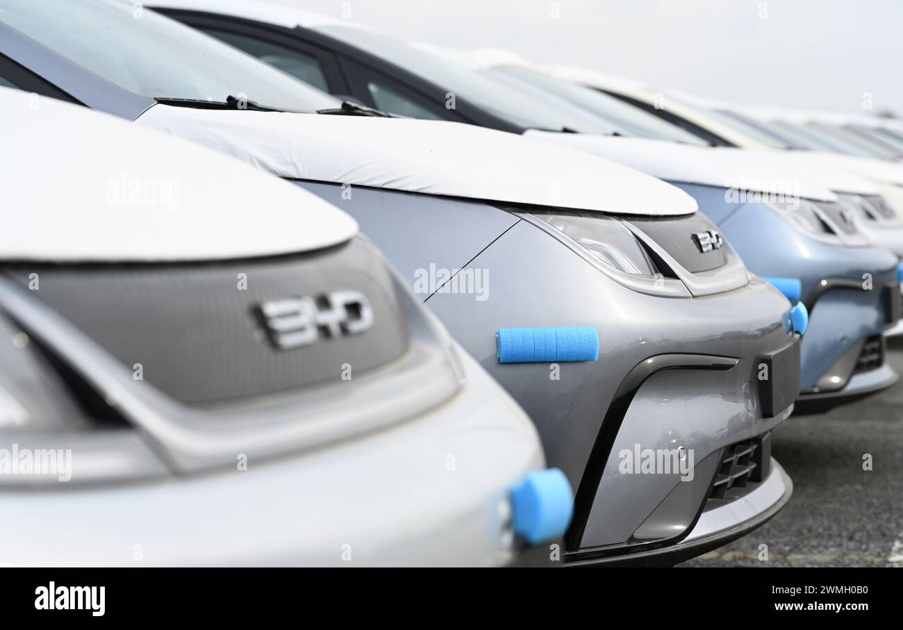 Bremerhaven, Germany. 26th Feb, 2024. Hundreds of new Dolphin cars from car manufacturer BYD are parked in the port. Credit: Lars Penning/dpa/Alamy Live News Stock Photo