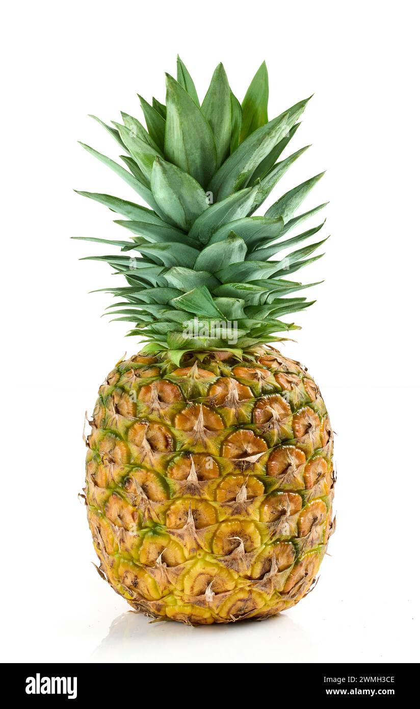 fresh ripe whole pineapple isolated on white background Stock Photo
