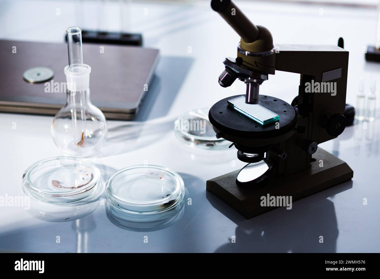 A set of equipment for research work on the study of insects. Stock Photo