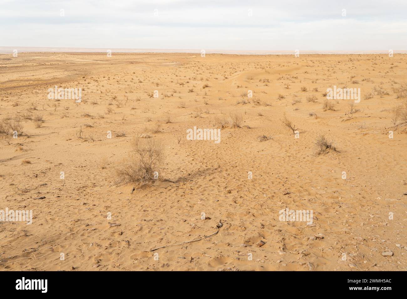 Sand dunes in the Kyzylkum Desert, Uzbekistan Stock Photo