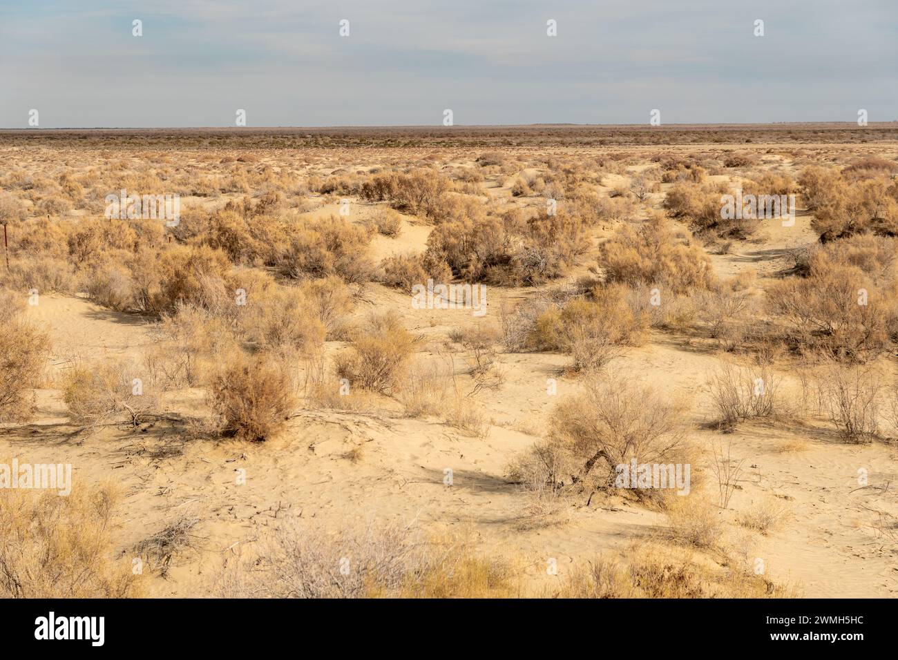 Consequences of Aral sea disaster. Steppe and sand on the site of the former bottom of the Aral sea. Kazakhstan, Uzbekistan Stock Photo