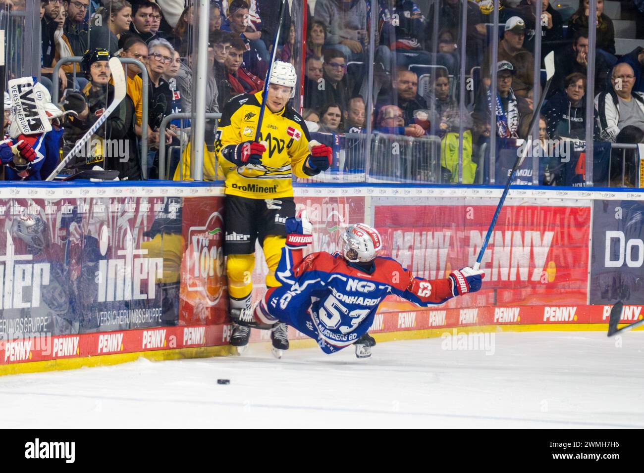 23.02.2024, DEL, Deutsche Eishockey Liga, 48. Spieltag): Adler Mannheim (Gelbe Trikots) gegen Nürnberg Ice Tigers (Blaue Trikots). Harter Zweikampf an Stock Photo