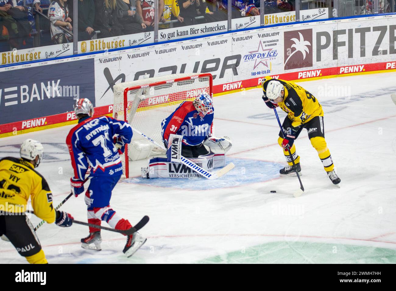 23.02.2024, DEL, Deutsche Eishockey Liga, 48. Spieltag): Adler Mannheim (Gelbe Trikots) gegen Nürnberg Ice Tigers (Blaue Trikots), 3:2 nach Overtime. Stock Photo