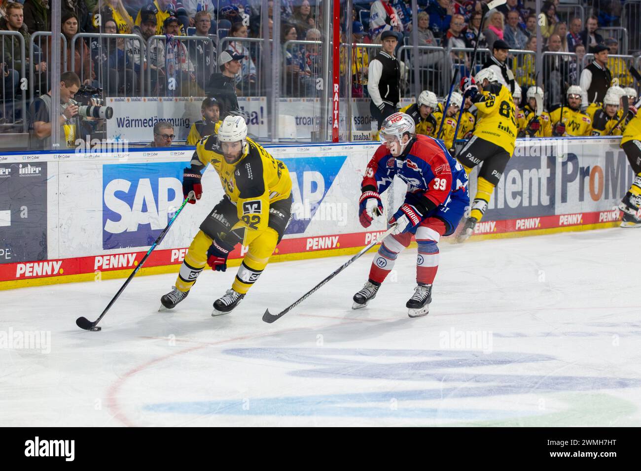 23.02.2024, DEL, Deutsche Eishockey Liga, 48. Spieltag): Adler Mannheim (Gelbe Trikots) gegen Nürnberg Ice Tigers (Blaue Trikots). Matthias Plachta (2 Stock Photo