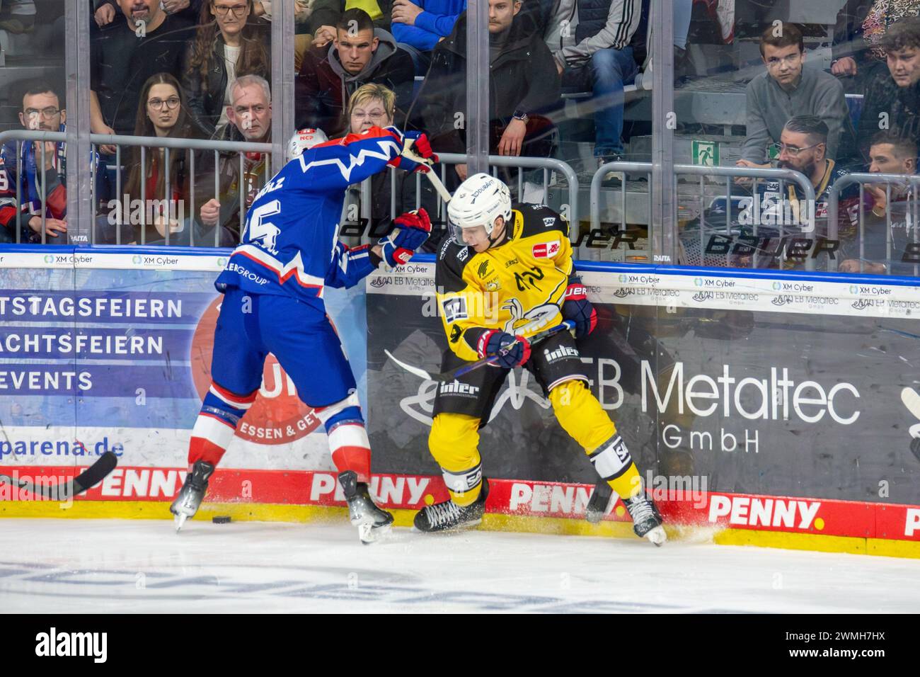 23.02.2024, DEL, Deutsche Eishockey Liga, 48. Spieltag): Adler Mannheim (Gelbe Trikots) gegen Nürnberg Ice Tigers (Blaue Trikots), 3:2 nach Overtime Stock Photo